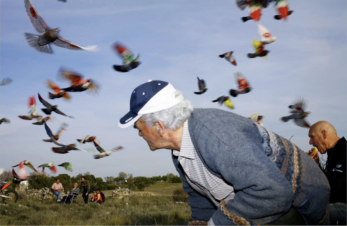 Exact Editions tweet media