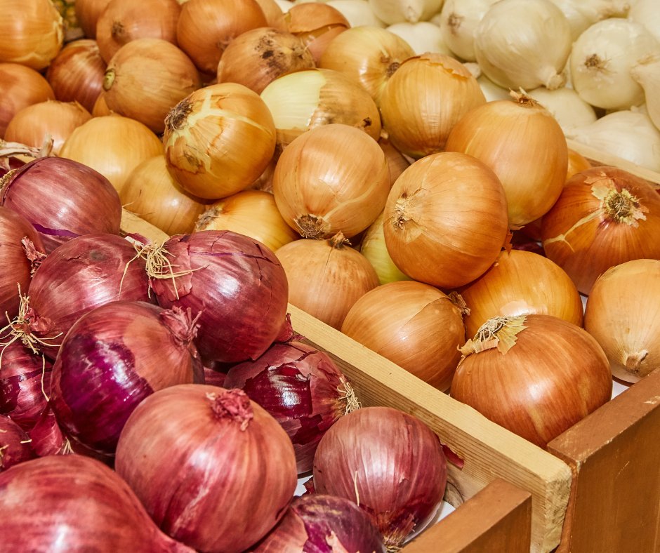 Discover our selection of onion and shallot sets, featuring many popular gardener favourites, ranging from traditional to new inspirational varieties.

PRE-ORDER TODAY >> hubs.ly/Q03XbB7c0
