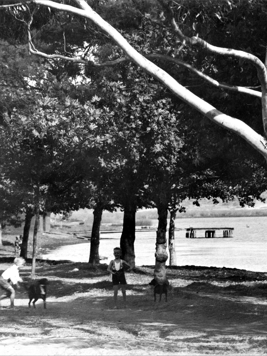 Children once played under the tall gums at Galup, where families gathered by the water’s edge. 🌳

This tranquil lakeside moment from 1931 captures the simple joys of early life. 🕊️

📸 Courtesy of the Town of Cambridge Local Studies Collection.

#Galup #StepBackInTime