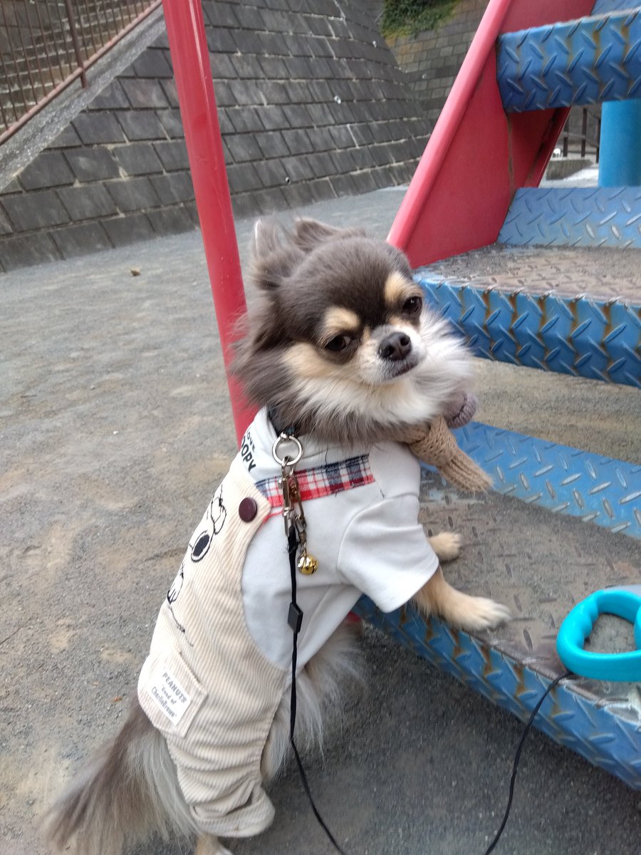 💐🌳お散歩💐🌳