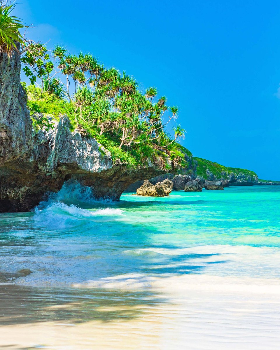 Enjoy on a 2 Days Zanzibar Beach Tour combining tropical adventure with cultural discovery. 

𝗚𝗘𝗧 𝗔 𝗤𝗨𝗢𝗧𝗘 𝗙𝗥𝗢𝗠 𝗗𝗔𝗩 𝗦𝗔𝗙𝗔𝗥𝗜𝗦! 💐
📞 +256-757795781
📩 info@davsafaris.com
🌐 davsafaris.com/tours/2-day-za…

#ZanzibarBeach #ZanzibarTourPackage #DavSafaris