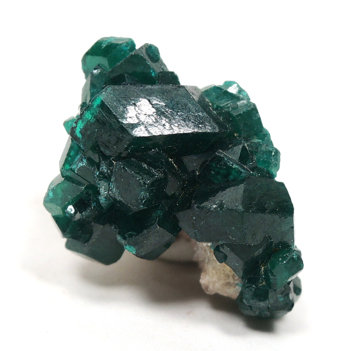 深い緑色が美しい、ダイオプテーズ(翠銅鉱)の標本。コンゴ産です。 光