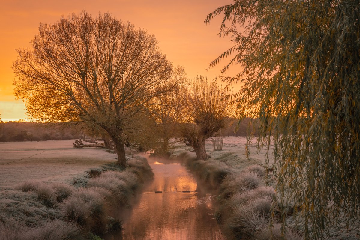 LesleyAM13's tweet photo. A glorious winter sunrise in Richmond Park. 🌅 https://t.co/8sKrCKzdLS