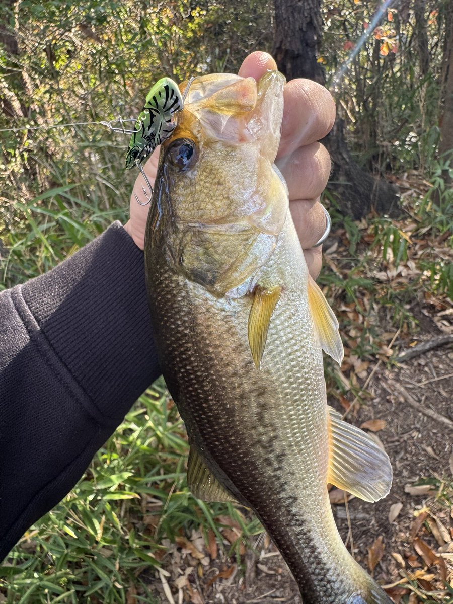 ちょっとだけ釣り
4B3F
まだまだ秋っぽいけど冬の釣り