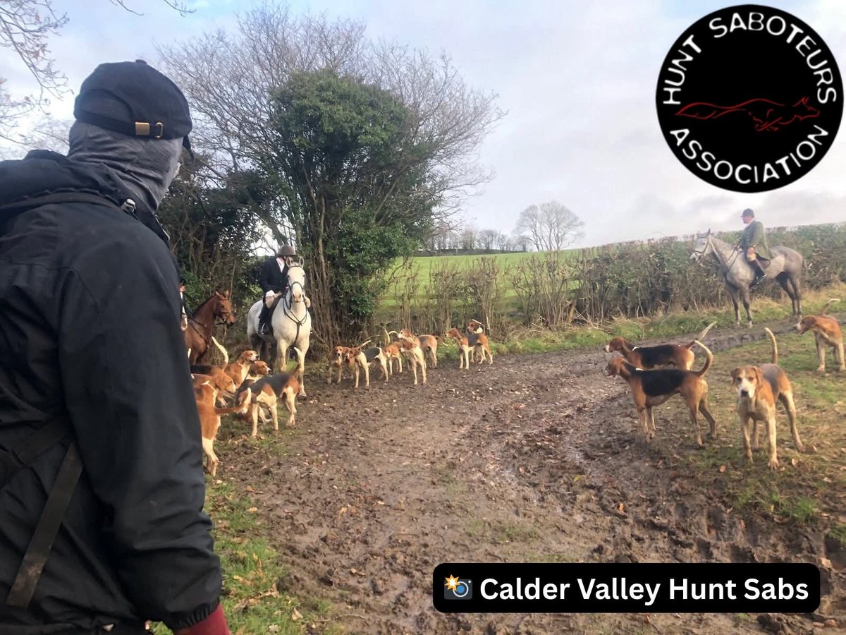 HuntSabs's tweet photo. Good luck sabs 👊 

Swarms of sabs are preparing themselves for another day of saving wildlife and exposing the criminal activities of hunts. 

We are fast approaching Christmas and this is an extremely busy period. Hunt sabs are volunteers and give up their time to put themselves between hunts and wildlife. 

If you would like to support the work the HSA and our affiliated groups do, then why not become a member of the HSA. You will also receive our HOWL magazine three times a year which includes group news and exclusive articles. 

You can find out more by following the link
https://t.co/s1vpFst2JT
