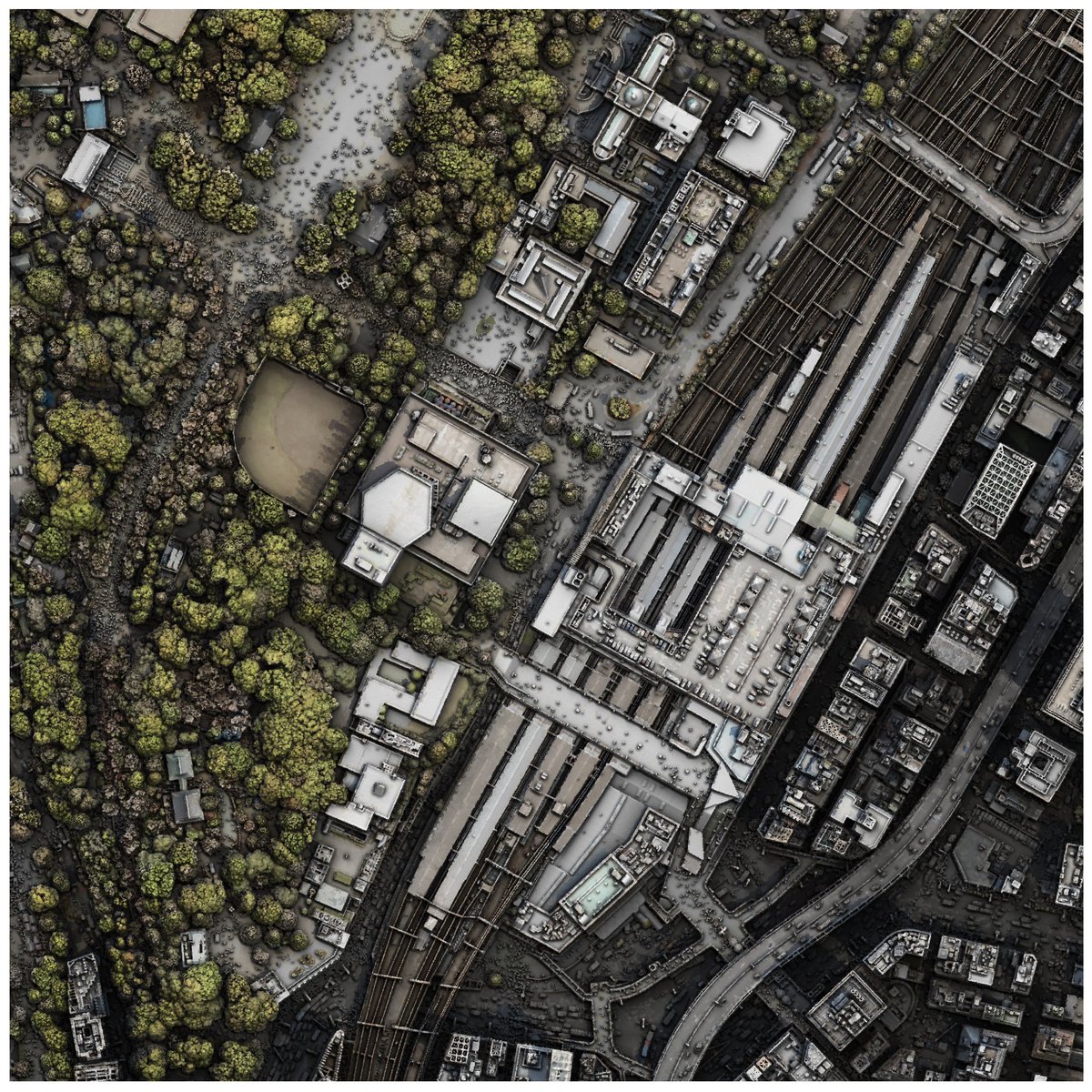 Emory Beck tweet media