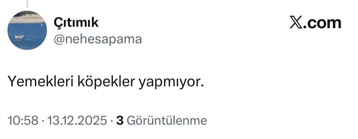 İtperest geri zekalılığı, öldürür❗️
#KöpekTerörü