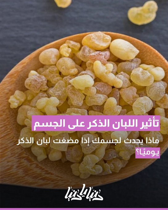 ماذا يحدث لجسمك إذا مضغت لبان الذكر يوميا؟ 