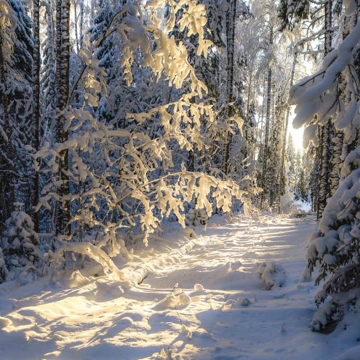 faerysoulart's tweet image. believe on ur lucky star