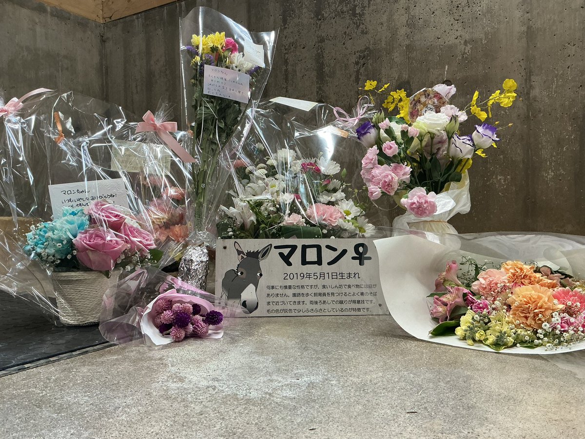 ⭐️マロン３点おまとめ⭐️ ⭐️マロン3点おまとめ⭐️ マロンまろん (@3580_maron) / Posts / X