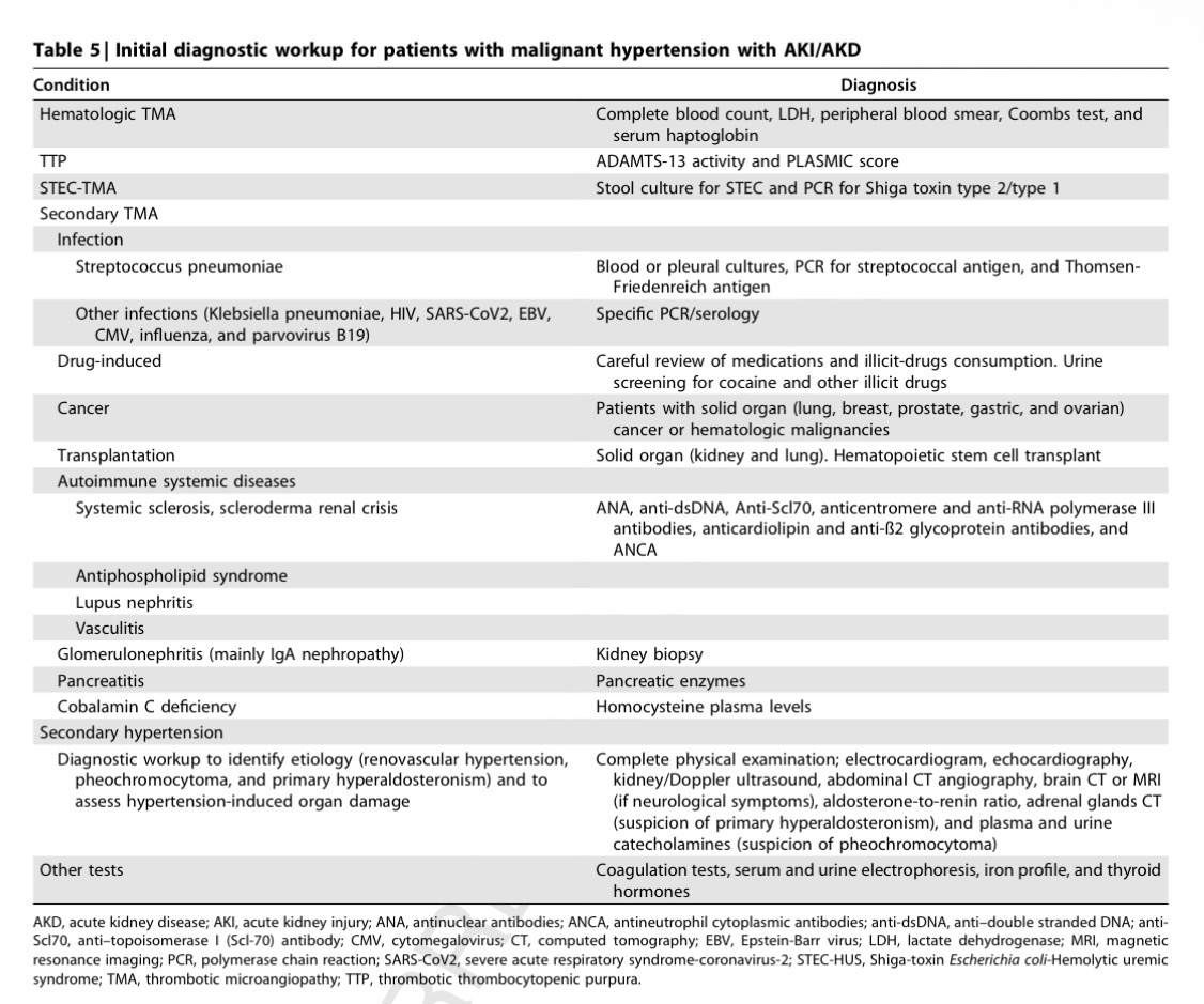 Severe hypertension with thrombotic microangiopathy: the need for pathogenically-targeted treatments
