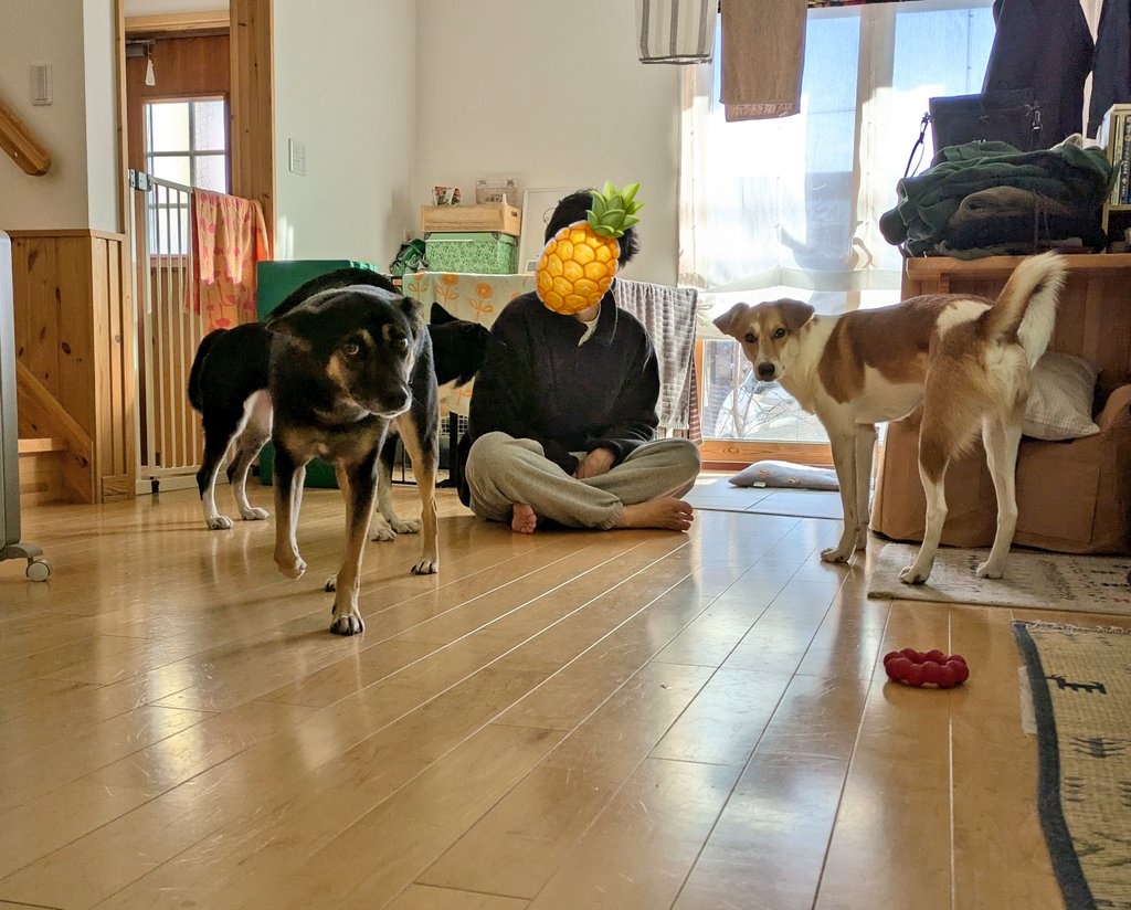 よものんあん母 (@chobikuro311) / Posts / X