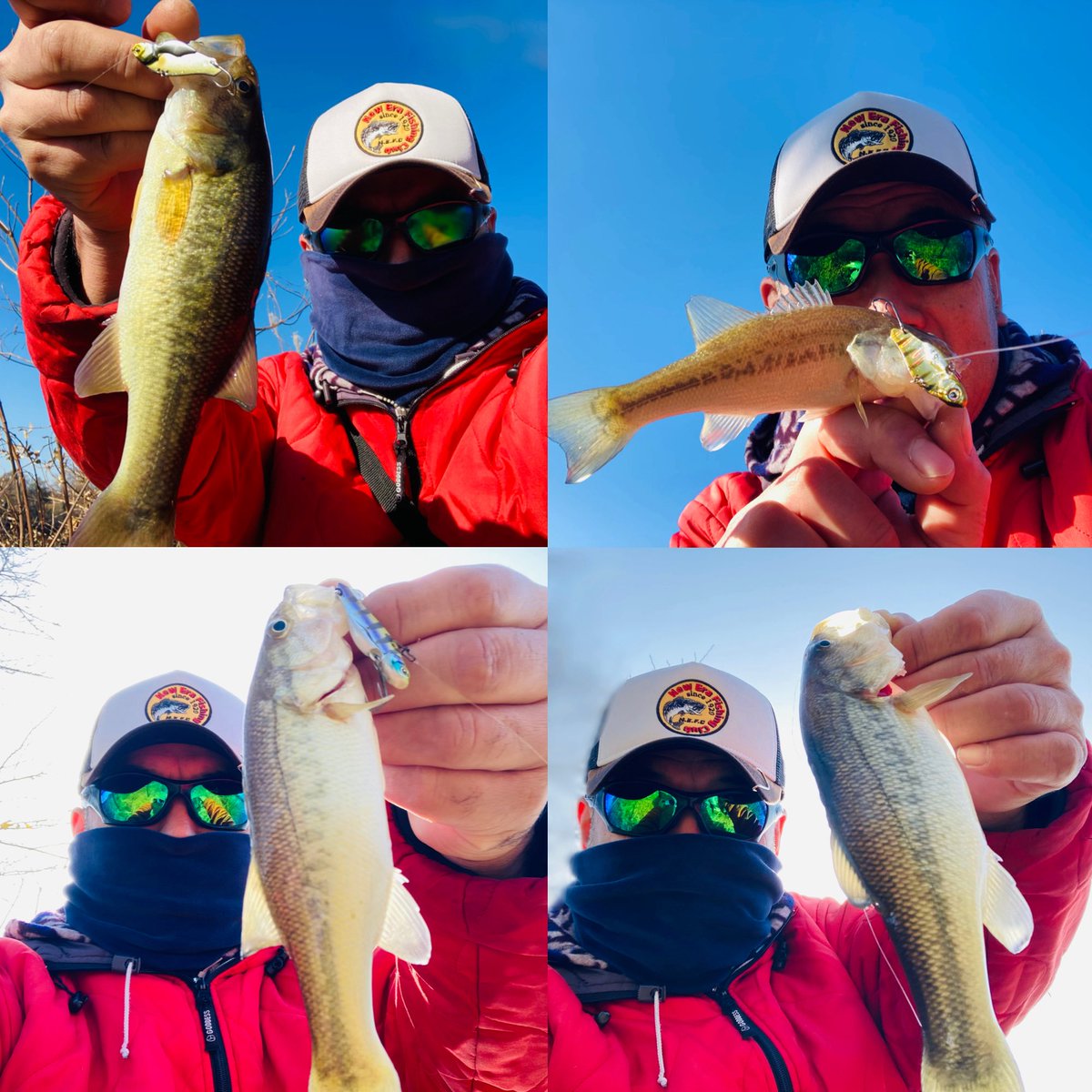yamadia4's tweet photo. 「冬メタル」絶好調💪😁
ナイスなサイズも混じり大漁満足❣️

#冬メタル #冬バス #メタルバイブ #ブラックバス #バス釣り #バスフィッシング #霞水系 #レイドジャパン #ストライド #シマノ #ステラ #フラッシュユニオン #フルメタルソニック #ダイワ #BHメタルバイブ https://t.co/bkkTSQPCyc
