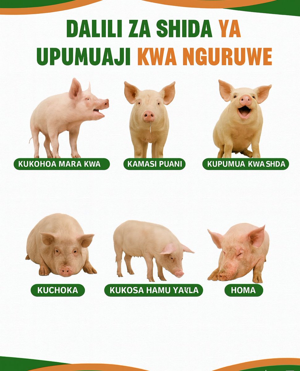 Alex Mbassa tweet media