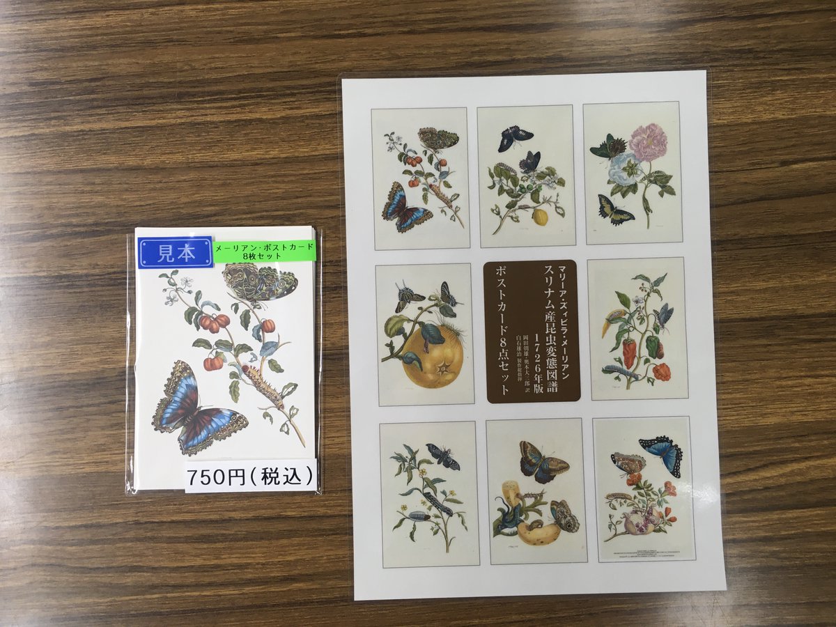 釧路市立博物館企画展「メーリアンの立体昆虫図譜」明日12月14日（日