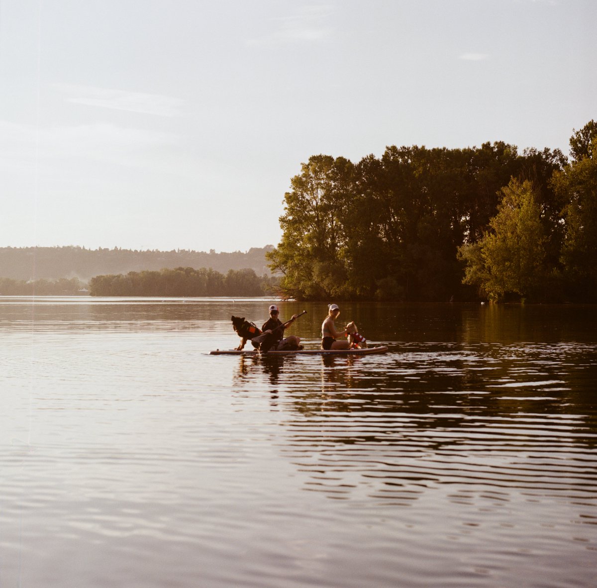 Benjamin L tweet media