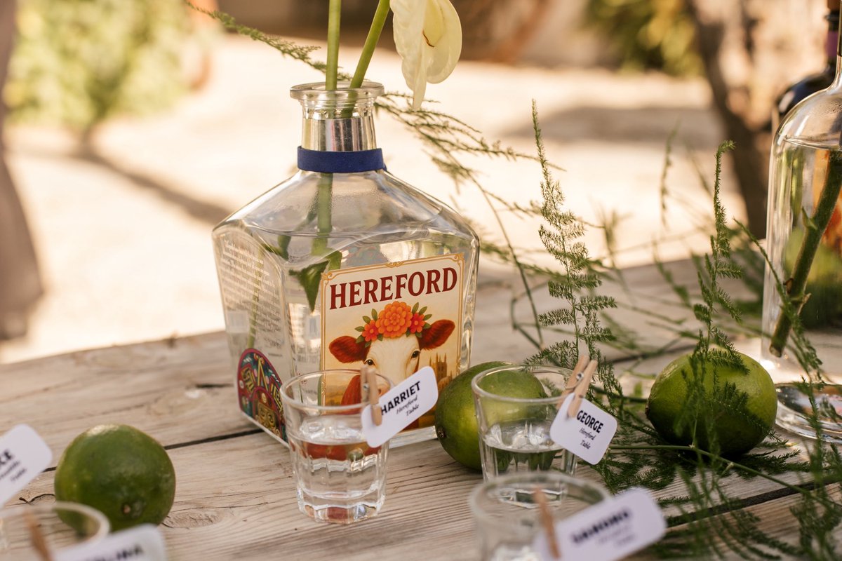 DanielYubi tweet media