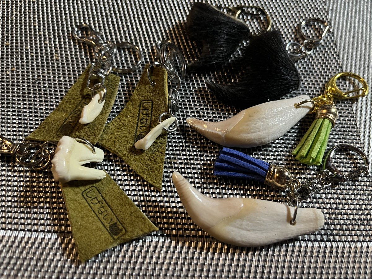 明日は郡山でみちのくコミティアにサークル参加します。 今回は