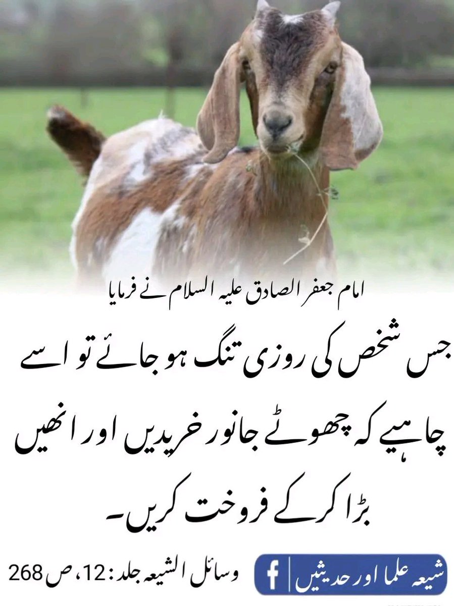 امام جعفر صادق علیہ السّلام نے فرمایا
