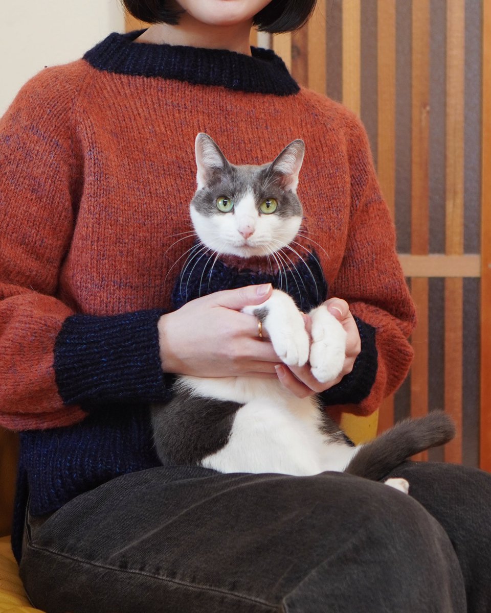 たまき (@tamaki1853) / Posts / X