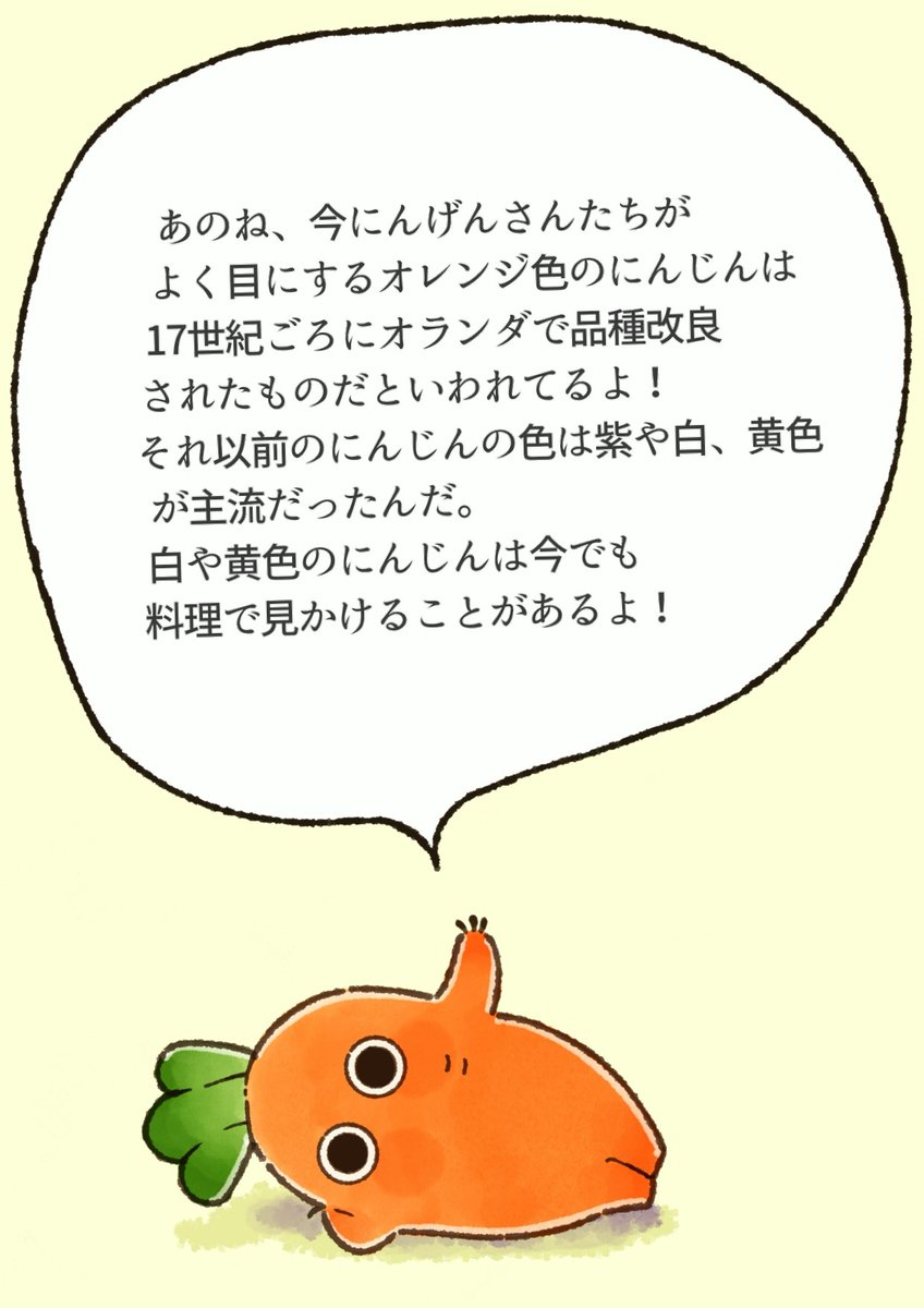 にんじん。さまおまとめ 2点 宮崎さんのフルーツにんじん10kg ＜先行予約！12月～5月お届け＞ 長崎