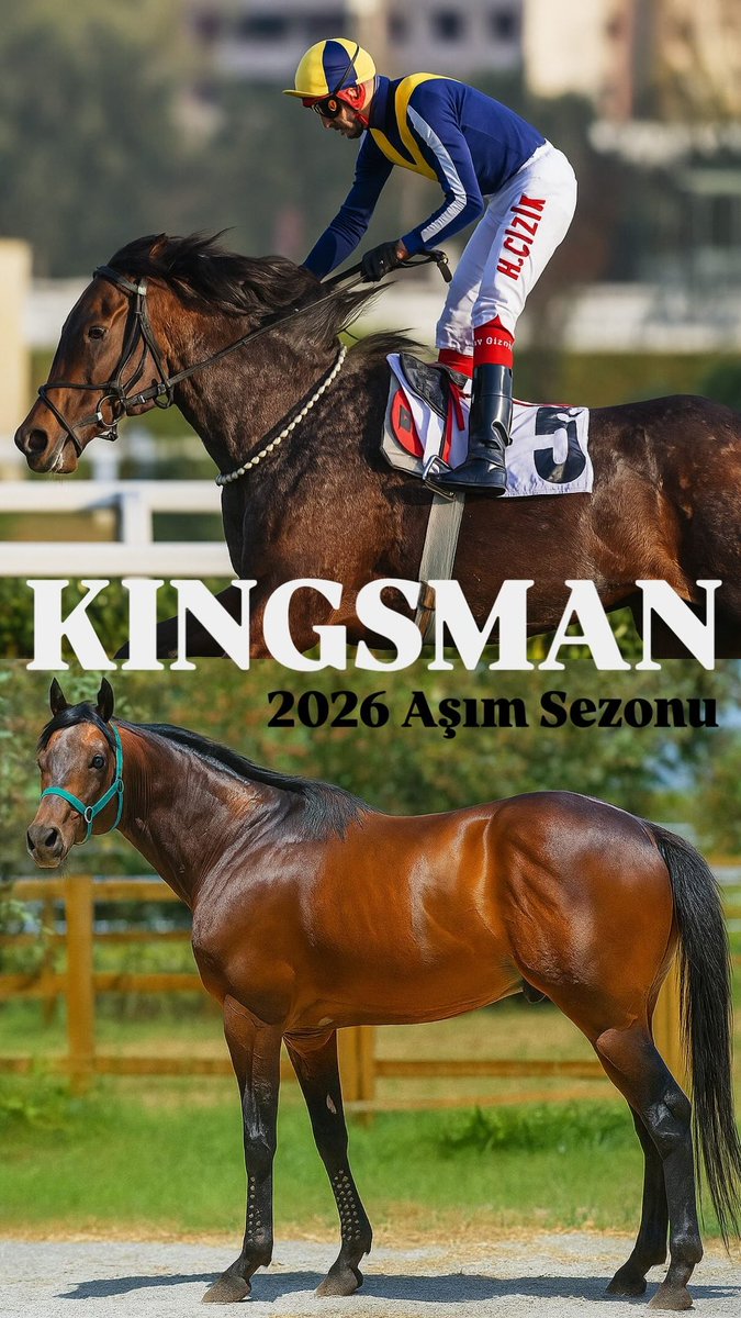 Fatma İPEK tweet media