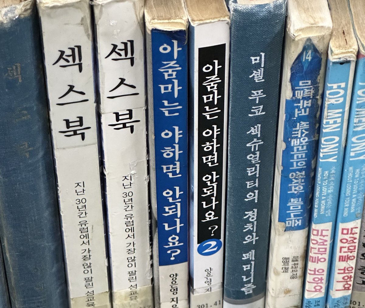 학교 도서관 에 잇엇던책 (아줌마는 야하면 안되나요?)
