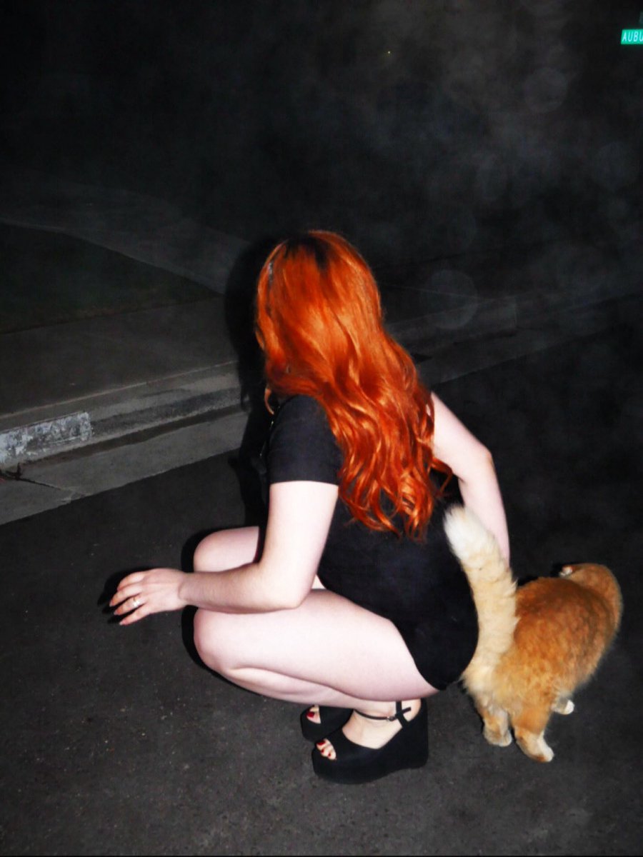 roachtitties's tweet image. here kitty kitty