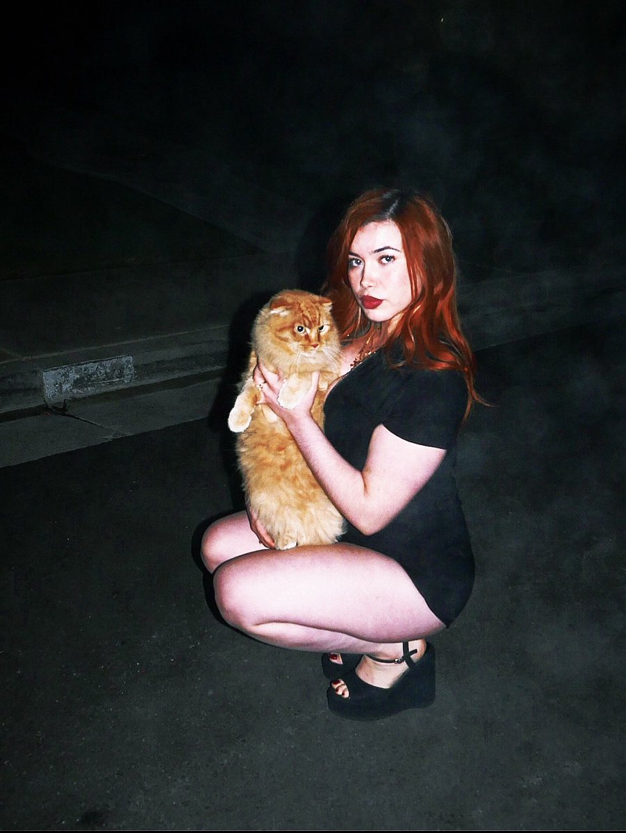 roachtitties's tweet image. here kitty kitty