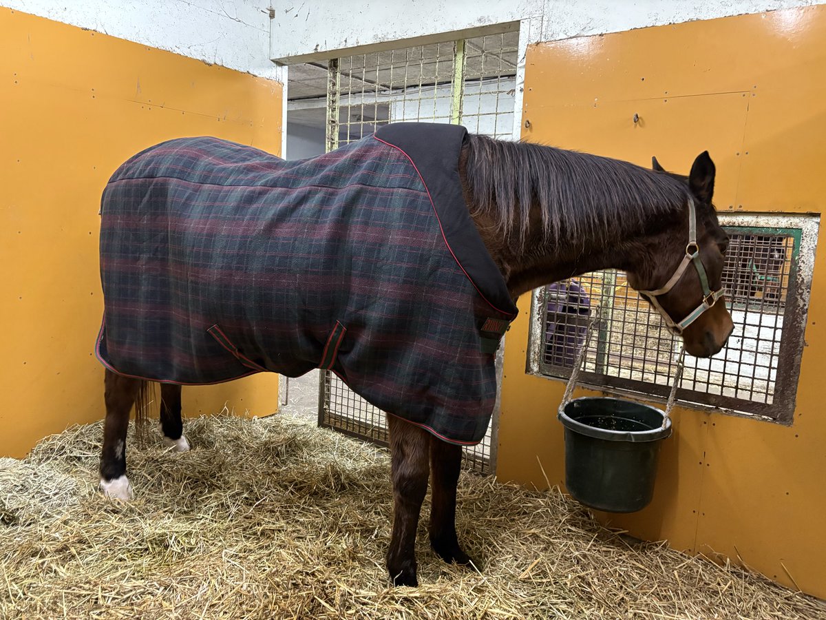 3+6=9_ミロク (@369syumiyo) / Posts / X