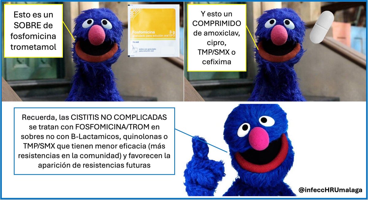 infeccHRUmalaga's tweet photo. Hazle caso a #Coco📸👇🏻q lo explica fácil y trata #CistitisNoComplicada con #fosfo/trometamol✉️ pauta PREFERENTE Guia @SEIMC_ de ITU🧫🚽. Betalactamicos, quinolonas y TMP/SMX💊útiles pero menos eficacia por mayores resistencias📈🛡️
Guía #ITU @SEIMC_ 🔗🆓https://t.co/9aBwjLFWwd https://t.co/g4N5tlVrjf