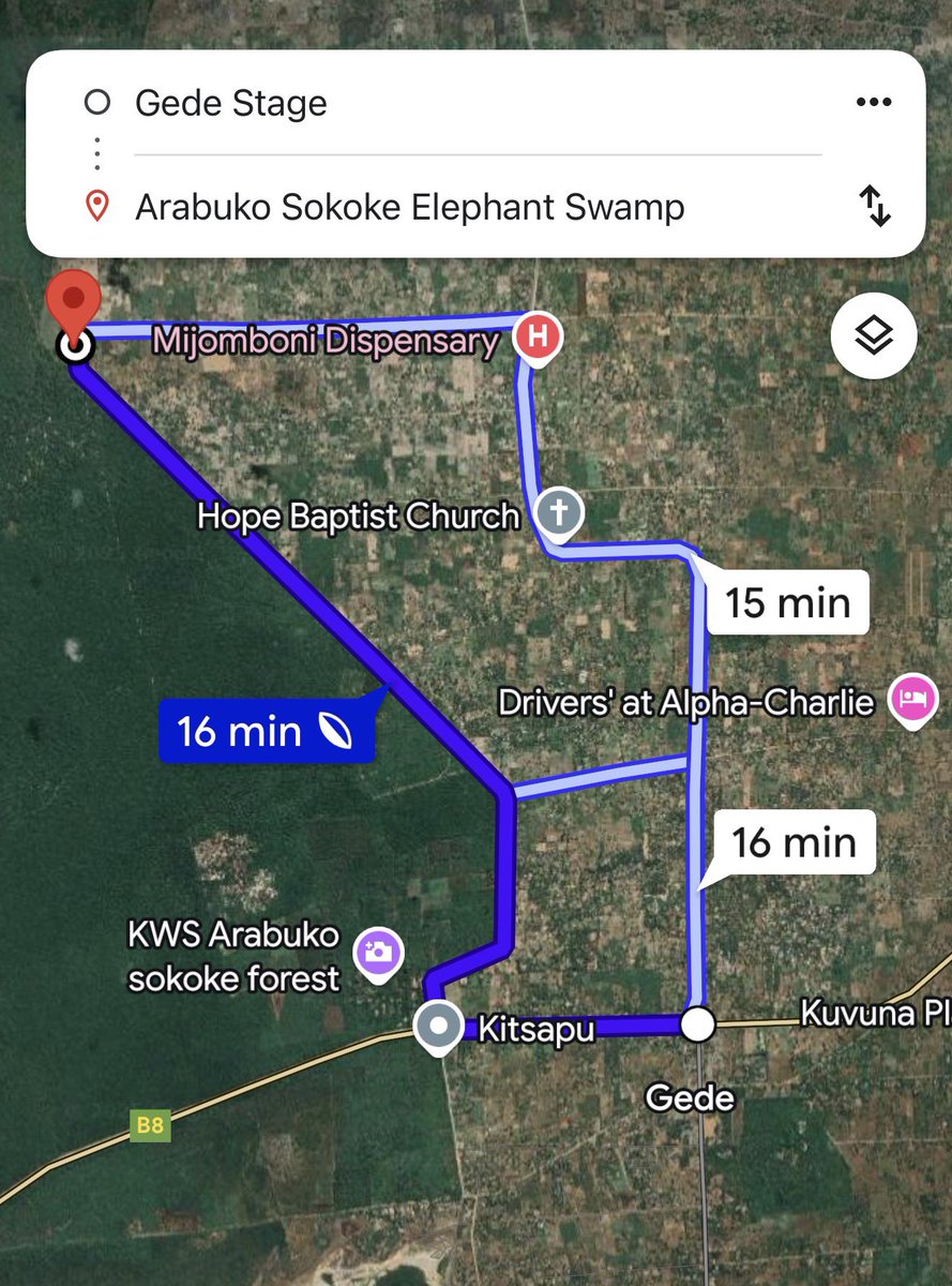 MativoMJohn's tweet image. When you are in Gede/Malindi area, please visit the Arabuko Sokoke Elephant Swamp at the edge of the indigenous forest, approx. 7km from the Mombasa Malindi highway. 
The thick forest, waterhole, grassland, swamp, quietness, beautiful sunset and majestic elephants #Awesomeness