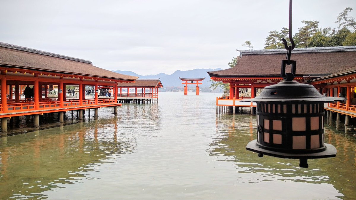 ひろぽん錠41mg「HH」 (@A35round) / Posts / X