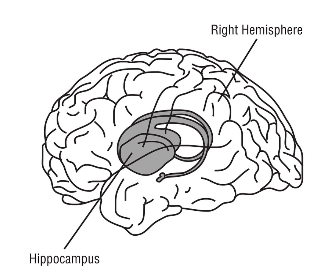 ArndtLeonards's tweet photo. Der Hippocampus ist eine entscheidende Hirnstruktur, die hauptsächlich für die Bildung und wobei er auch die Bildung neuer Nervenzellen ermöglicht. Alles wichtige über den Hippocampus in Düren zwischen Köln und Aachen erfahren Sie hier. ➡️ https://t.co/6qlCgry7V7 #hippocampus https://t.co/gdzn9XLdjk