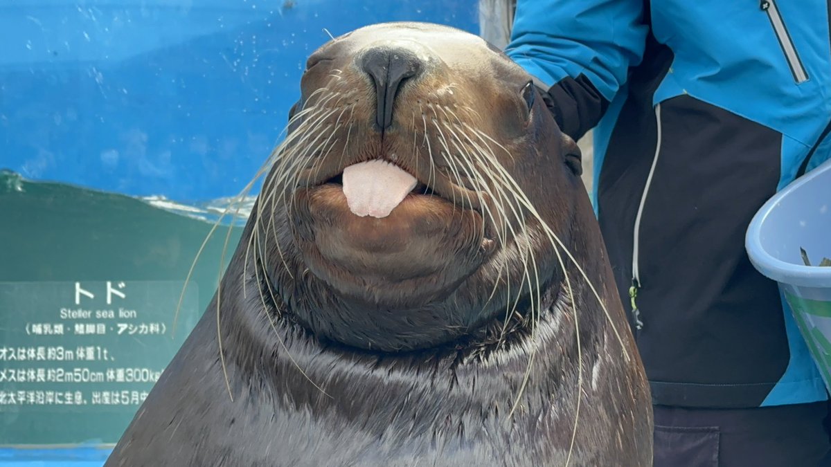 飼育員 ⑦飼育係になるために本当に必要なこと【リアルな出来事を具多的に公開‬