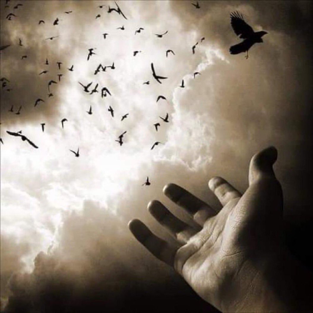 سلامٌ عليكم ما أمرَّ فراقكُم

وما أظلمَ الدُنيا علينا وأوحشَا

لعلّ الذي يقضِي الأمورَ بحكمه

سيجمعُنا بعد الفراقِ كما يشاء 

🥀🕊️