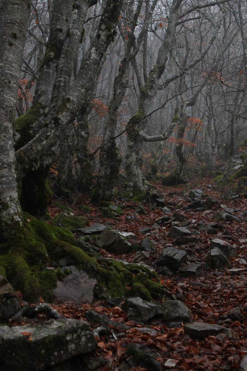 ↠

Soñamos, además,
que ocultamos a los hombres
ciertas cosas, y ello por la misma
decisión del alma en cuya virtud,
estando despiertos, callamos
lo que sabemos. Soñamos, en fin,
que por decisión del alma hacemos
ciertas cosas que, despiertos,
no osamos hacer.

SPINOZA
Ética

↞