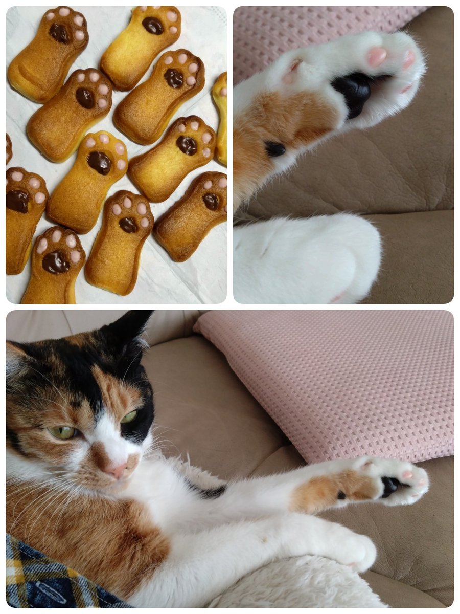 ソラママ😺😺💕 (@UcRevUwI7xf5CqS) / Posts / X