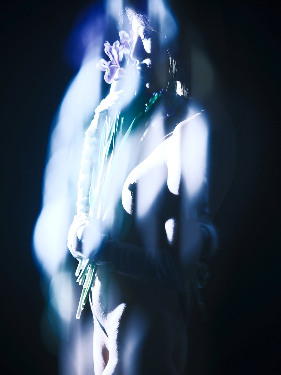 鸢尾花💐
📷<a href="/WANIMAL912/">WANIMAL | Official</a>