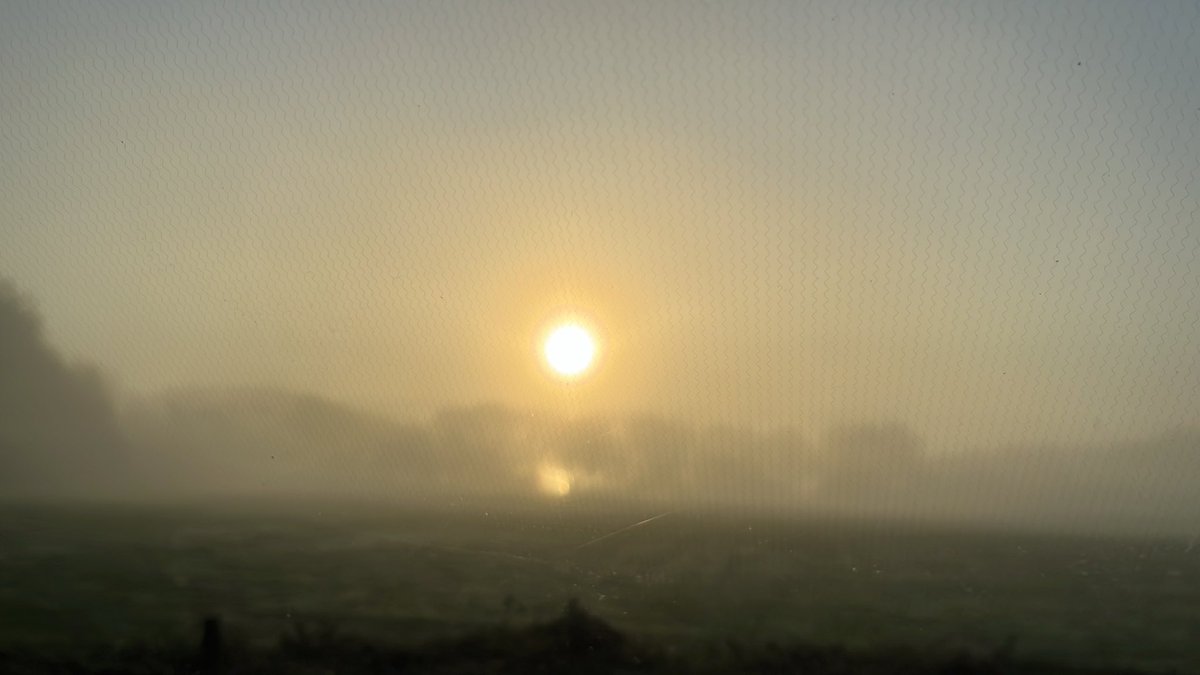 Sally Jones tweet media