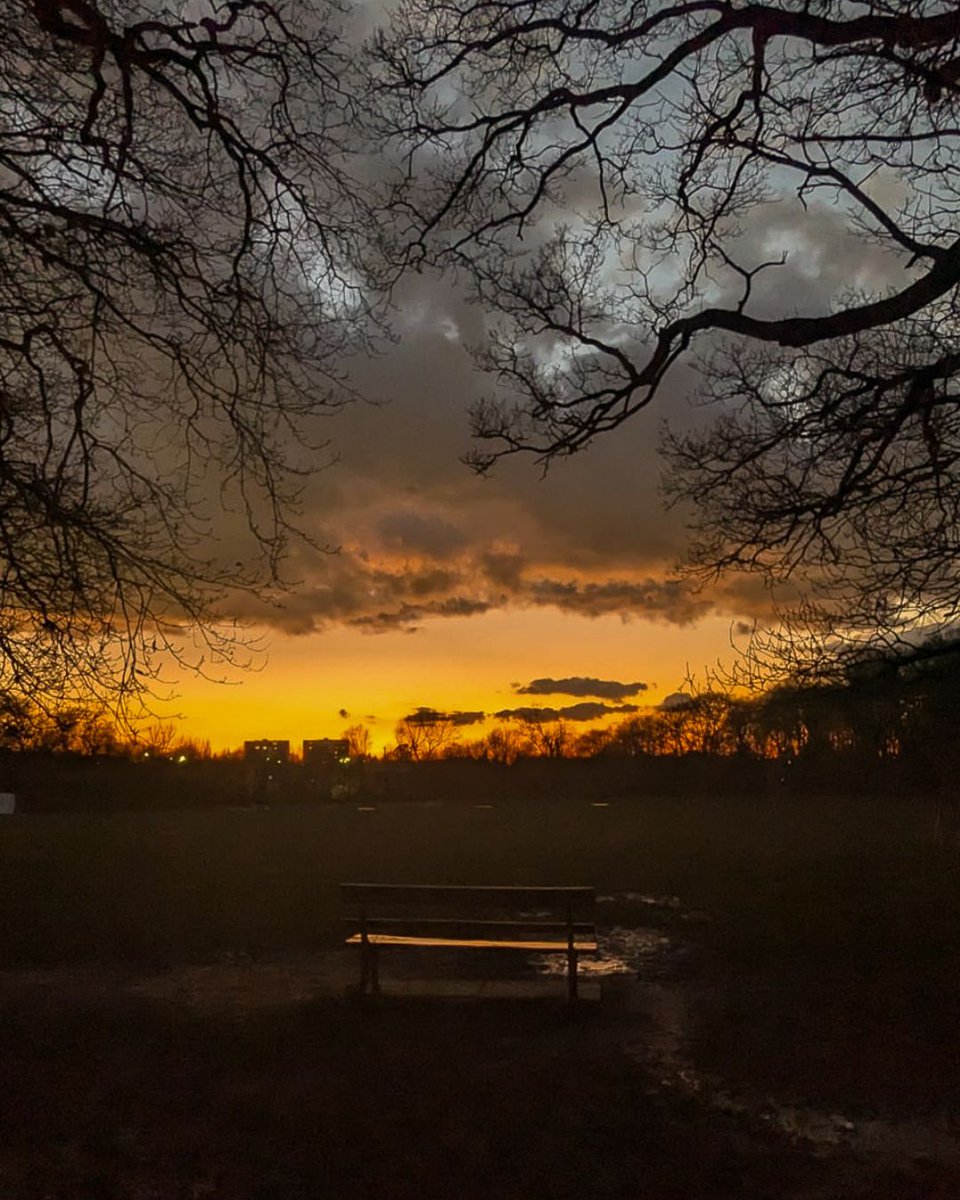 Highgate Wood tweet media