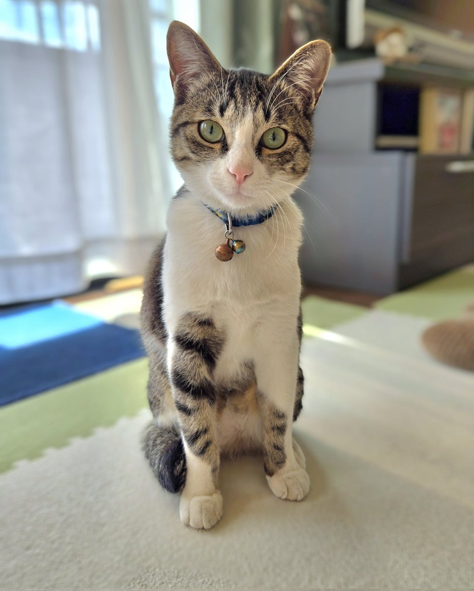 まるちゃんさん専用 まるママ (@maruchannel0820) / Posts / X