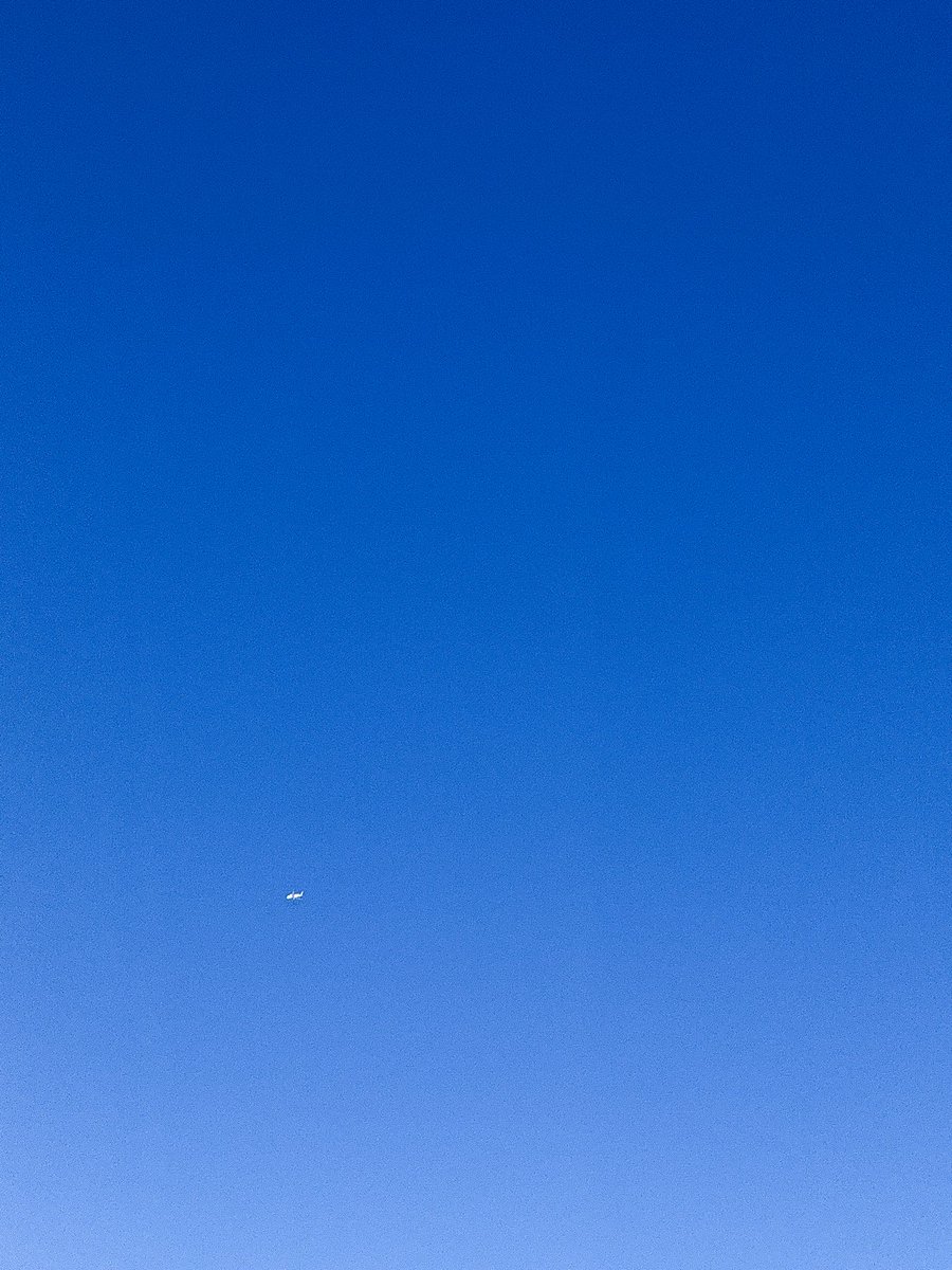 yusukevisuals's tweet photo. ✈️ https://t.co/YdkivBiD62