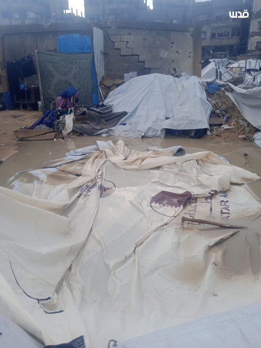 13 MORTS ET DES MILLIERS DE PERSONNES EN DÉTRESSE SANS ABRI À GAZA : À QUI LA FAUTE ?

Des tempêtes encore plus violentes que le veille, des inondations ont ravagé des camps de tentes entiers à travers Gaza, aggravant les souffrances de 2,2 millions de Palestiniens déjà déplacés