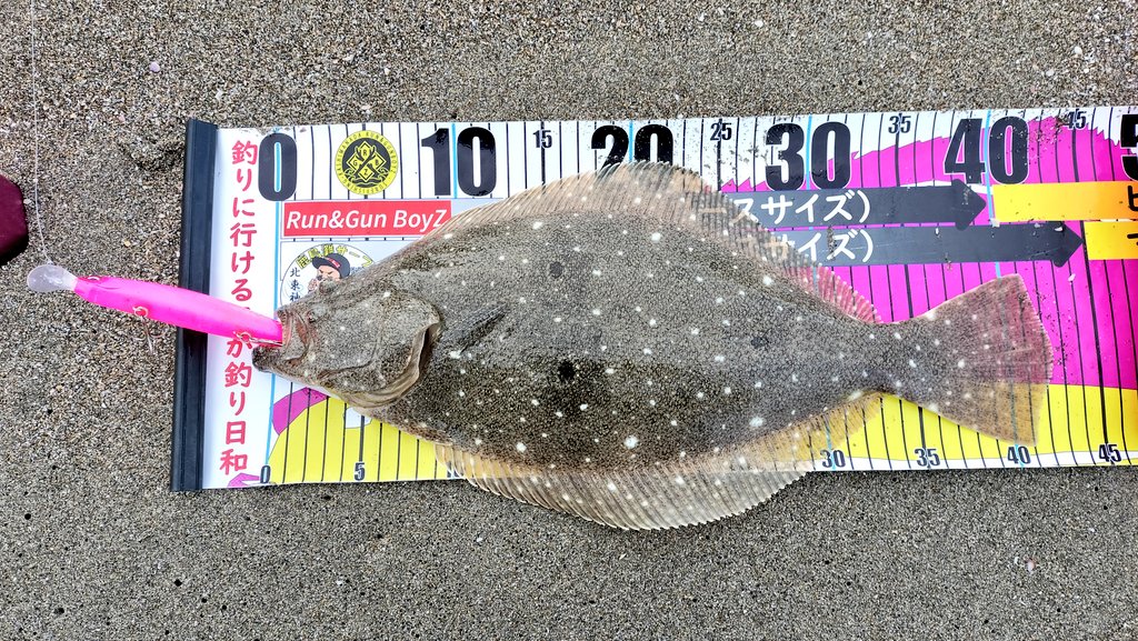 飯島一貴 (@Turizanmai27) / Posts / X