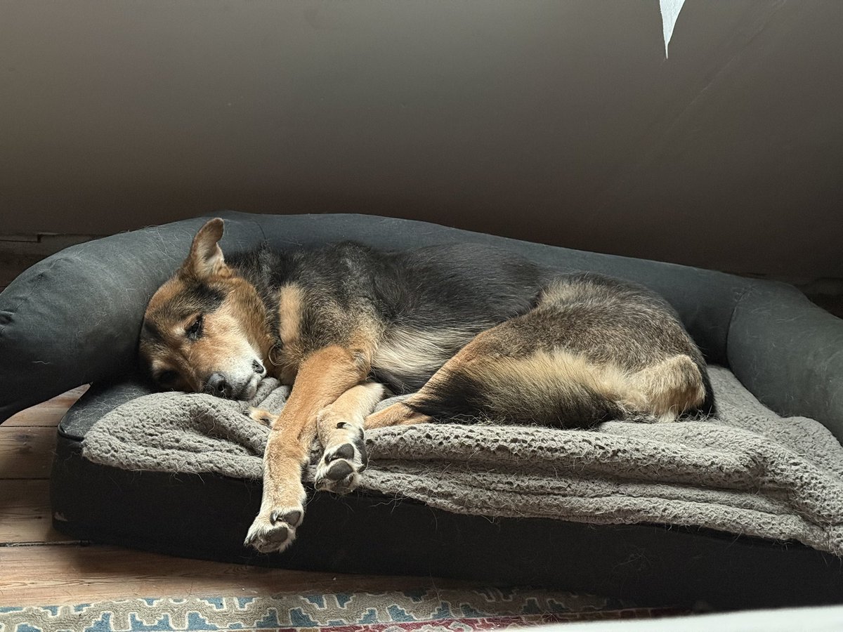 Dawn Stallard tweet media