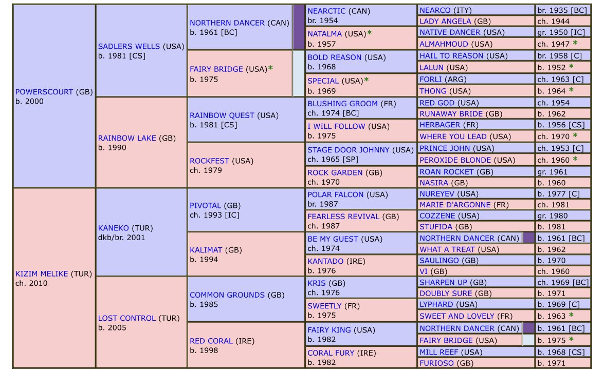⭐️POWERMAN
Türk atçılığının “özel kısrak” larından olan Kızım Melike’nin G1 apoletli yavrusu. 
Kardeşlerinin hepsi yarış kazandı ve listed koşularda başarılar elde etti.
G1 galibi Temelhan ve Lavender le aynı familyadan. 
Genç,eşkalli ve başarılı bir aygır.
İzmit Pansiyon Hara’da