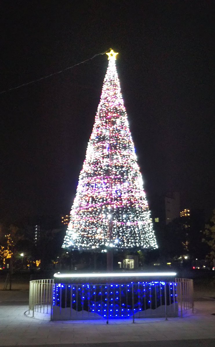 クリスマスツリー✨🎄✨