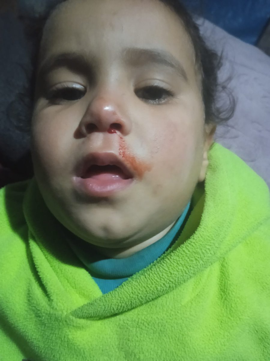 Dalula in Gaza tweet media