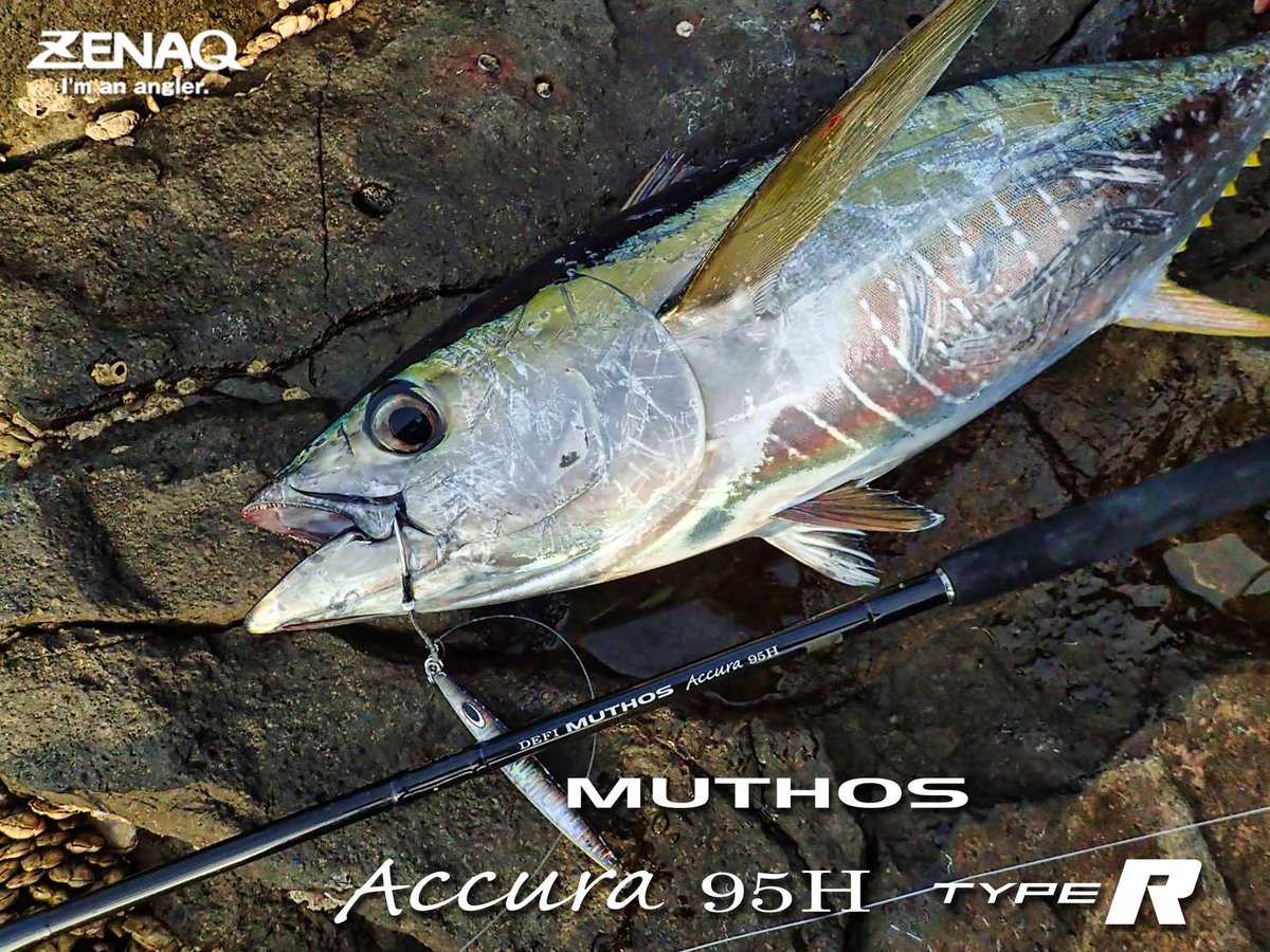 ZENAQ (@zenaq_tw) / Posts / X